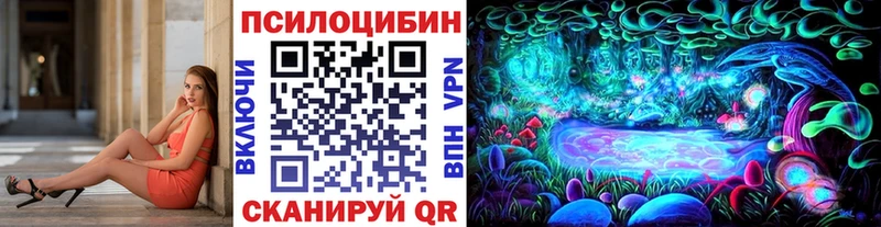 Псилоцибиновые грибы Psilocybine cubensis  Бирюч 