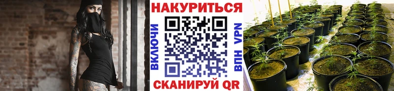 omg маркетплейс  продажа наркотиков  Бирюч  Марихуана Ganja 